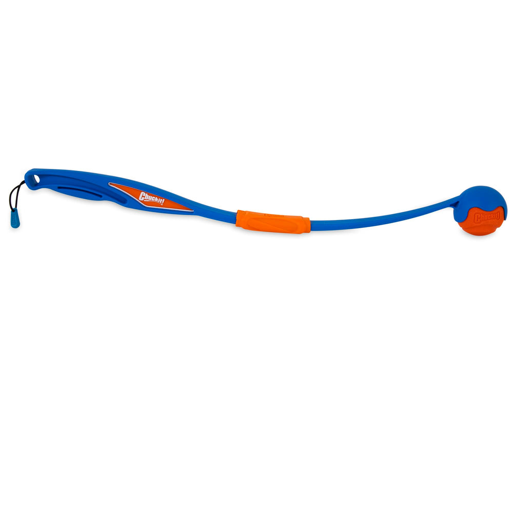 Balles tennis 2,5 pouces compatibles avec ce modèle.