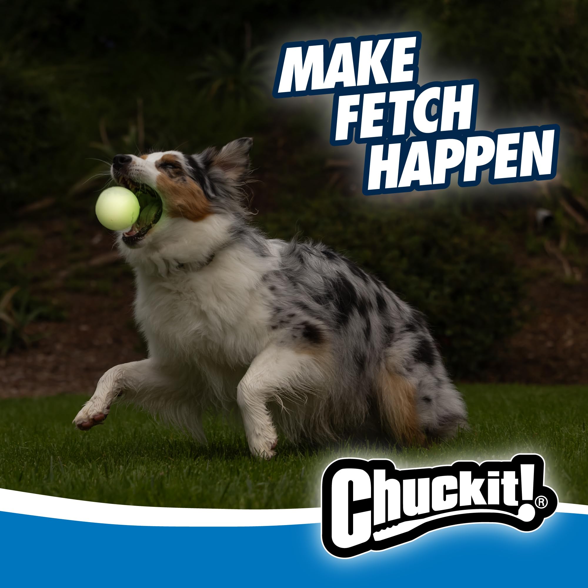Bola Chuckit duradera para juegos nocturnos, resistente a mordidas.
