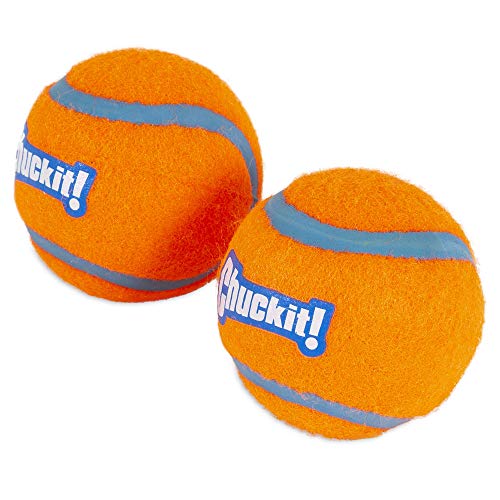 Bola Chuckit para perros medianos, compatible con perros de 20 a 60 libras.