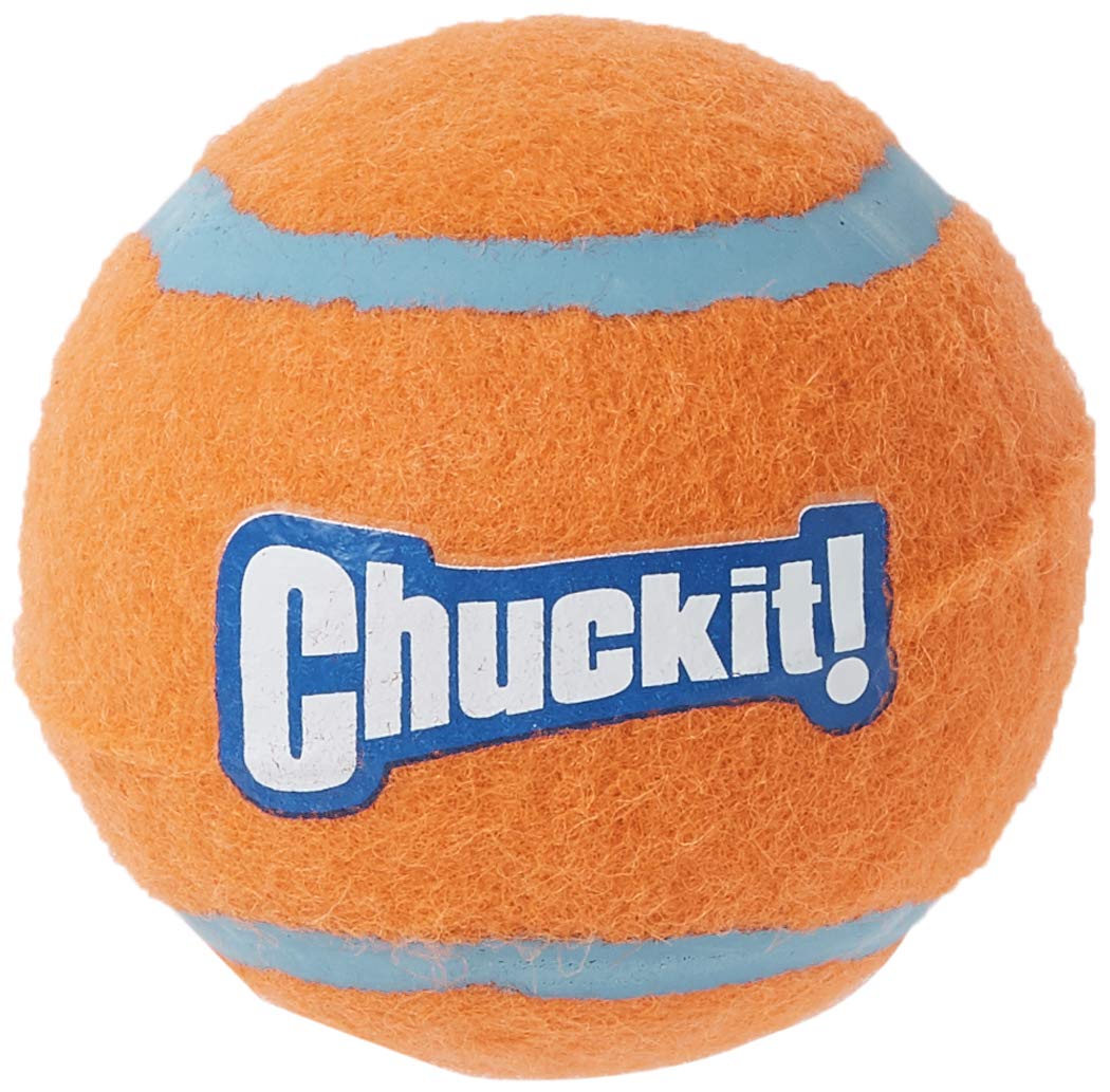 Bola Chuckit! rebote alto en terreno seco.
