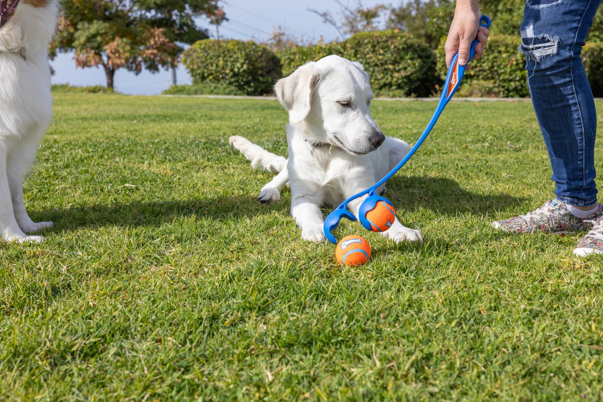 Compatible con pelotas medianas Chuckit! para perros de 9–27 kg.