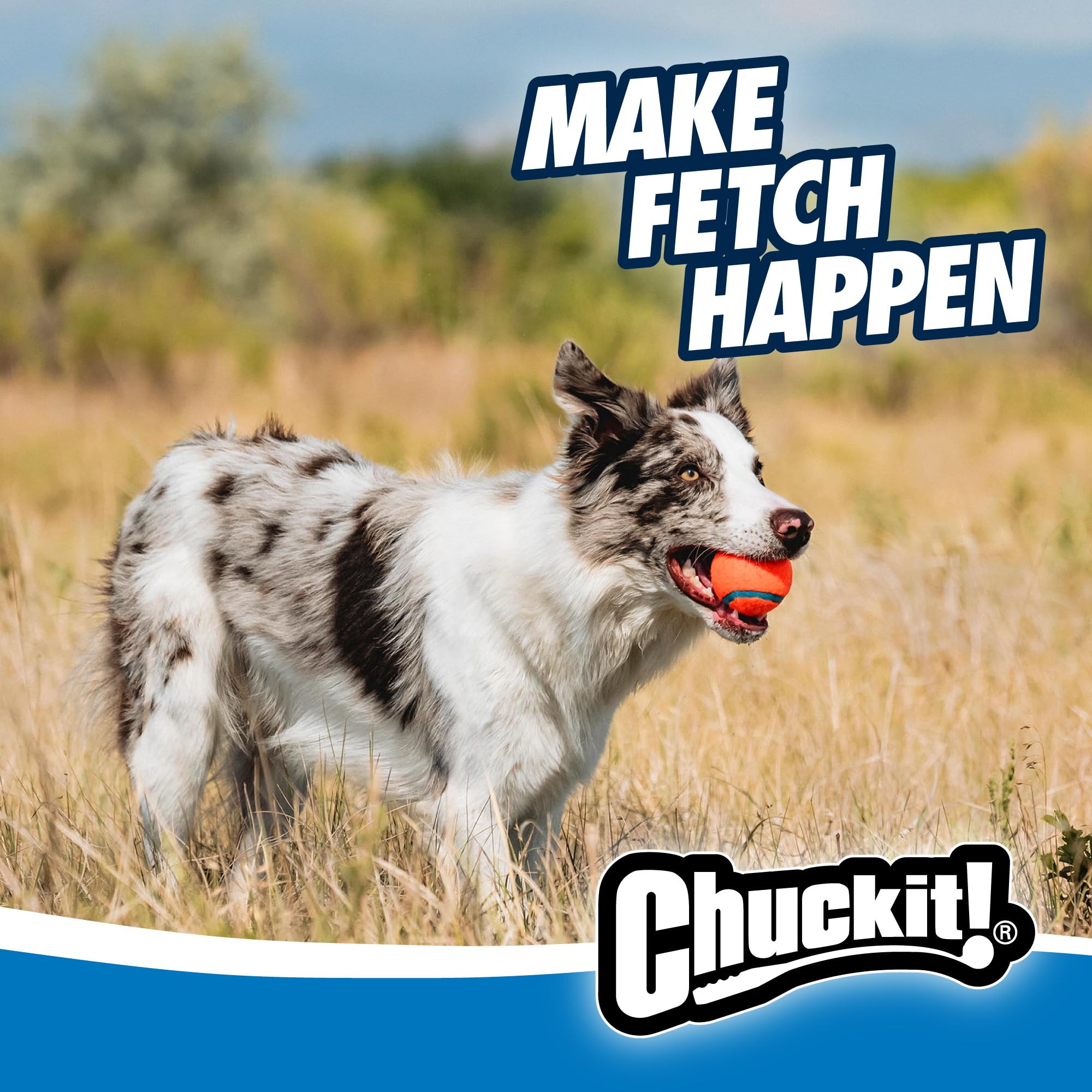 Diseño duradero de Chuckit! con más de 20 años de éxito.