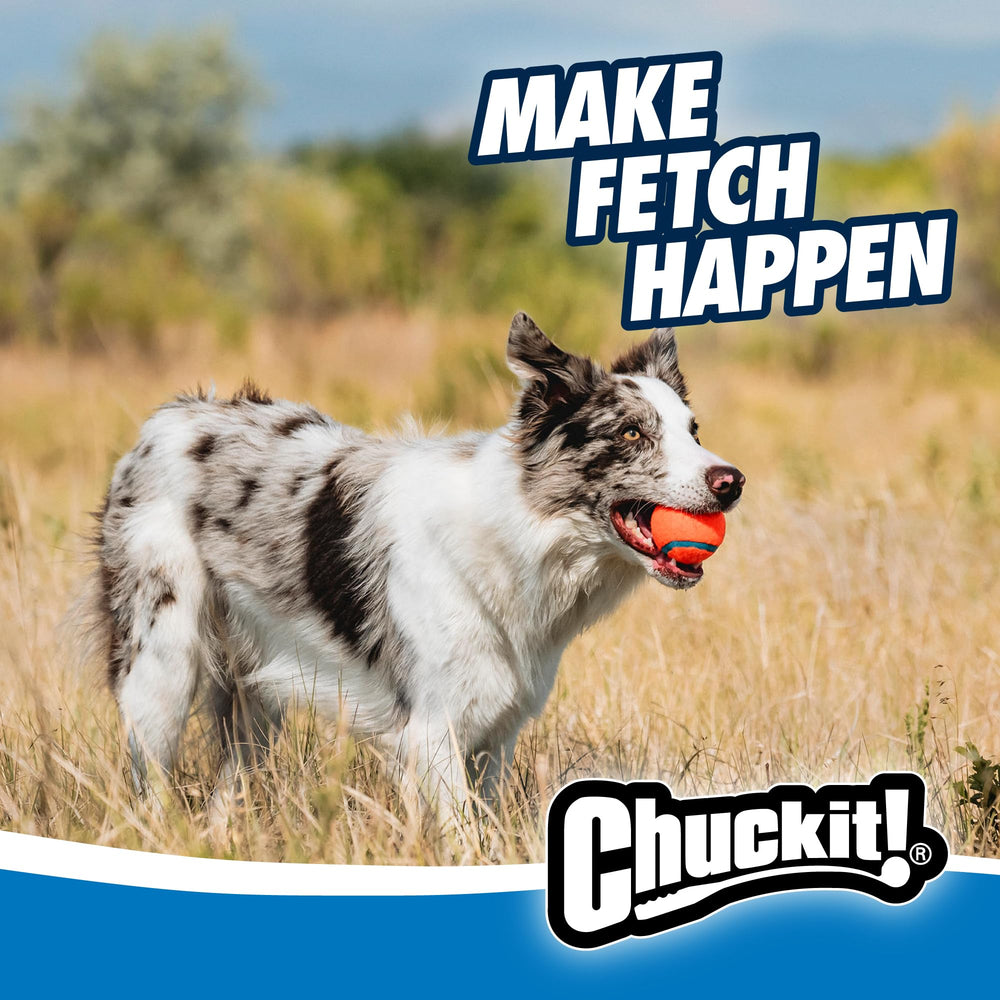 Diseño duradero de Chuckit! con más de 20 años de éxito.