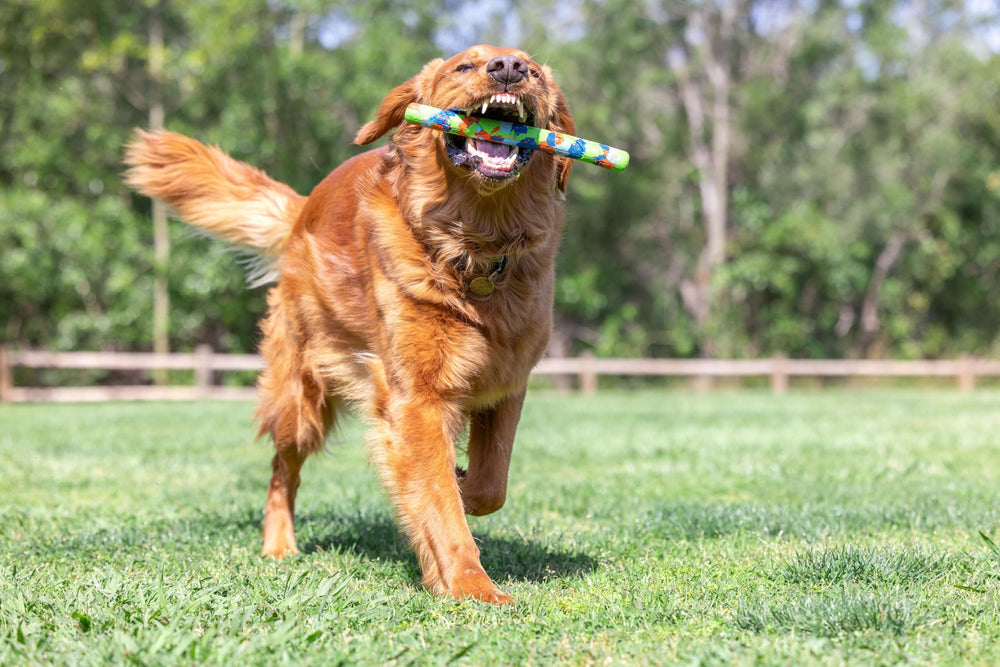 Chuckit EcoFetch Stick, alta visibilidad para localizar el juguete rápidamente.