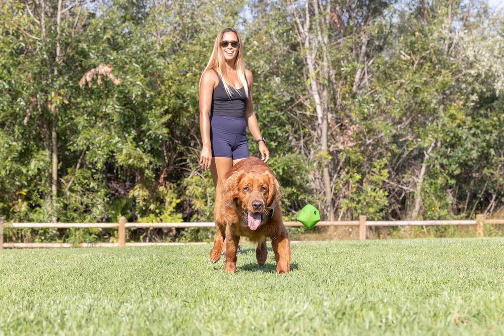 Chuckit! bola para cachorros, rebote impredecible para juego seguro.