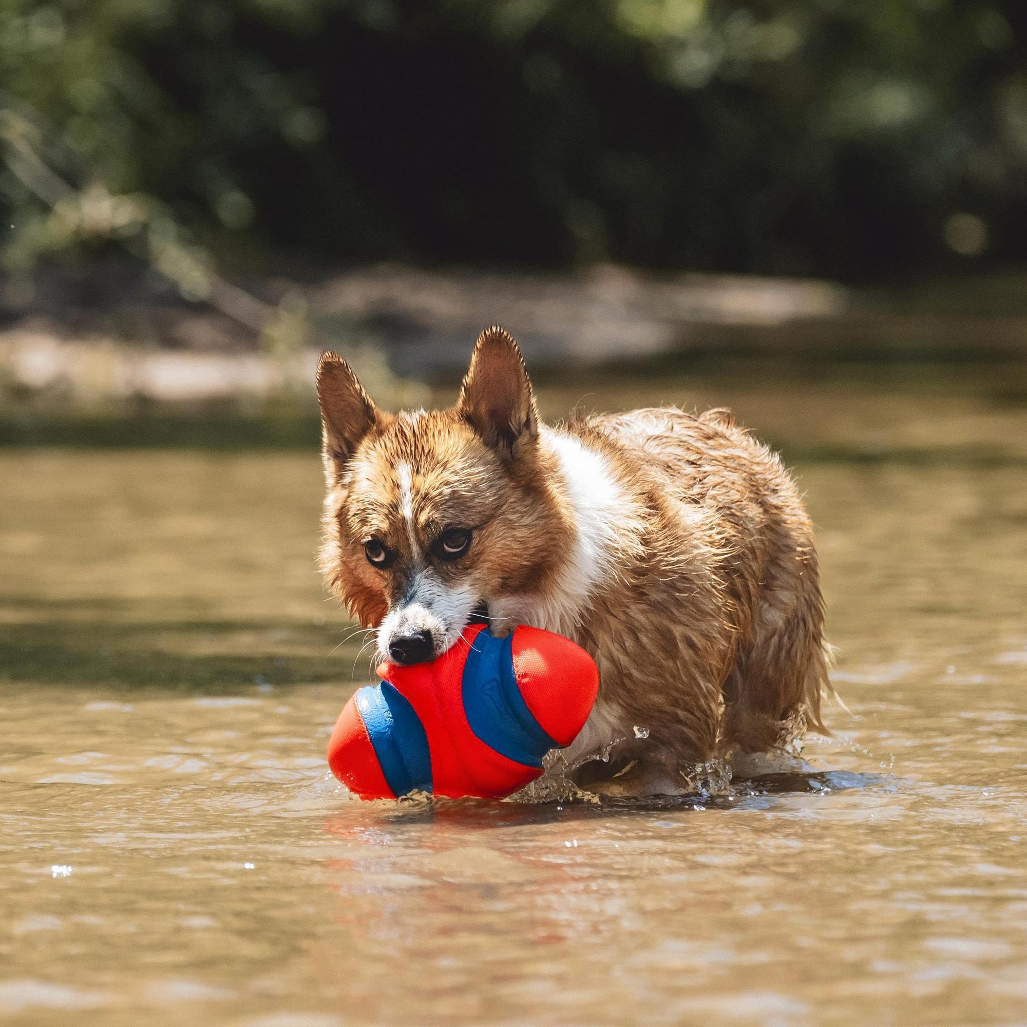 Chuckit! Fumble Fetch material resistente de goma EVA y poliéster para mayor durabilidad.