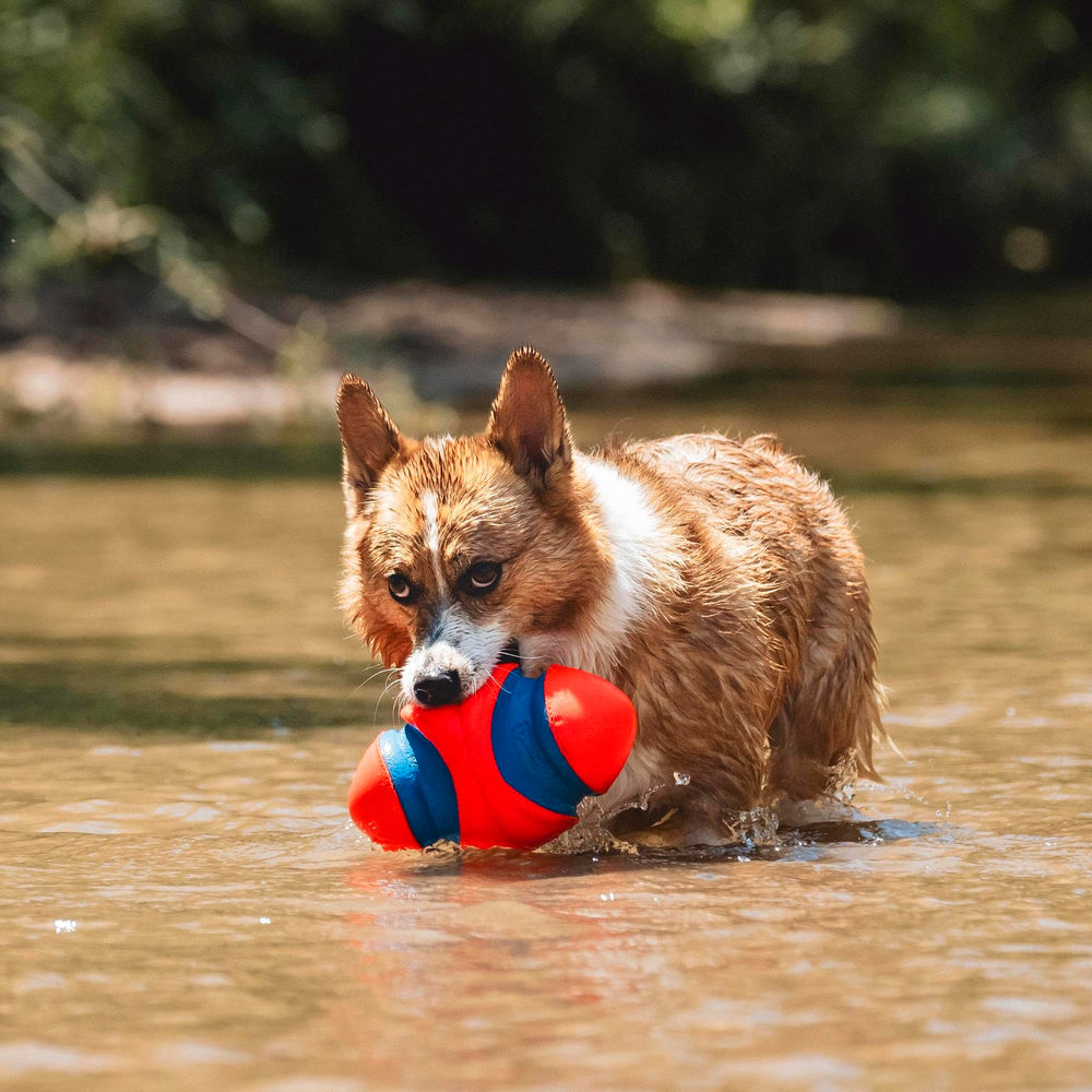 Chuckit! Fumble Fetch material resistente de goma EVA y poliéster para mayor durabilidad.