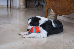 Chuckit! Fumbler interior con chenille suave para juegos cómodos en casa