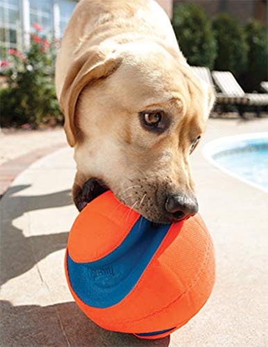 Chuckit! Kick Fetch Ball, versión Giggle Fetch con sonidos