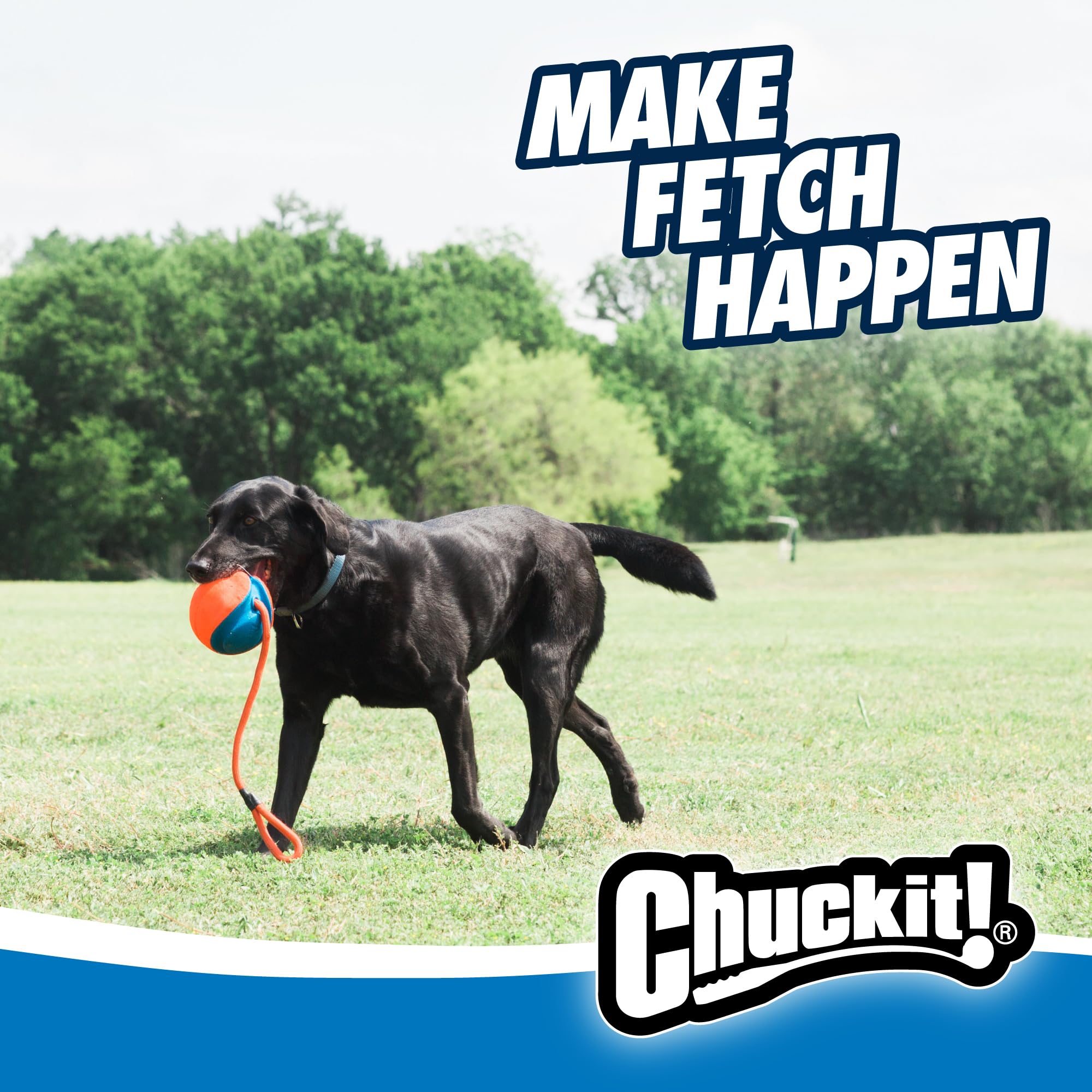 Chuckit! material duradero Oxford y EVA para resistencia