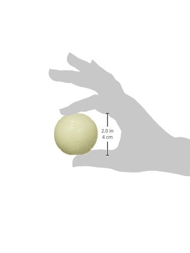 Pelota Chuckit! duradera para juego enérgico sin riesgos.