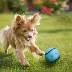 Bola Chuckit! Sniff flota y facilita localizarla en juegos acuáticos