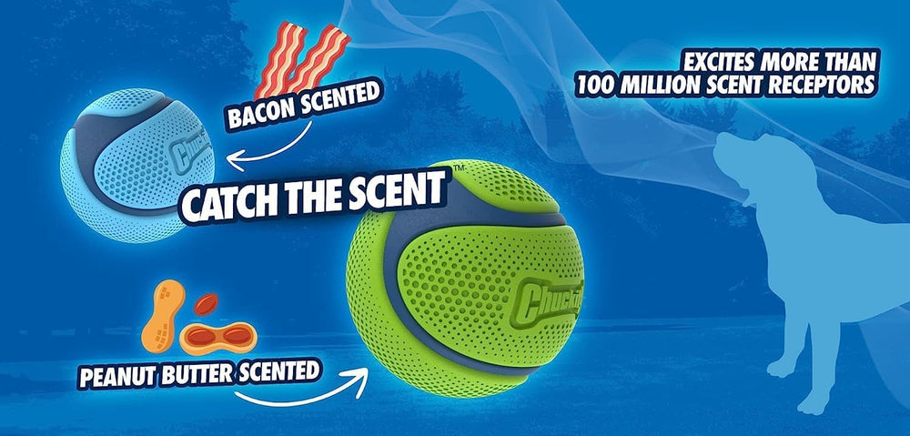 Bola Chuckit! Sniff compatible con lanzadores rebote alto para buscar