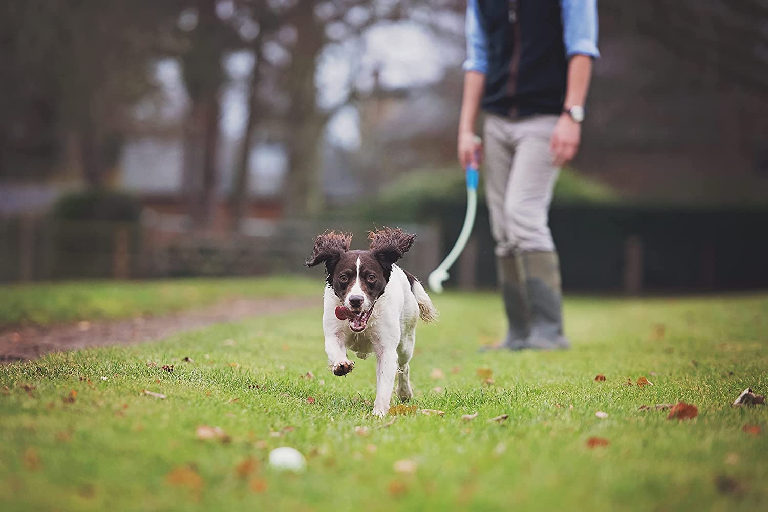 Chuckit! Tamaño mediano para 20-60 libras, ajuste perfecto para perros de tamaño medio.