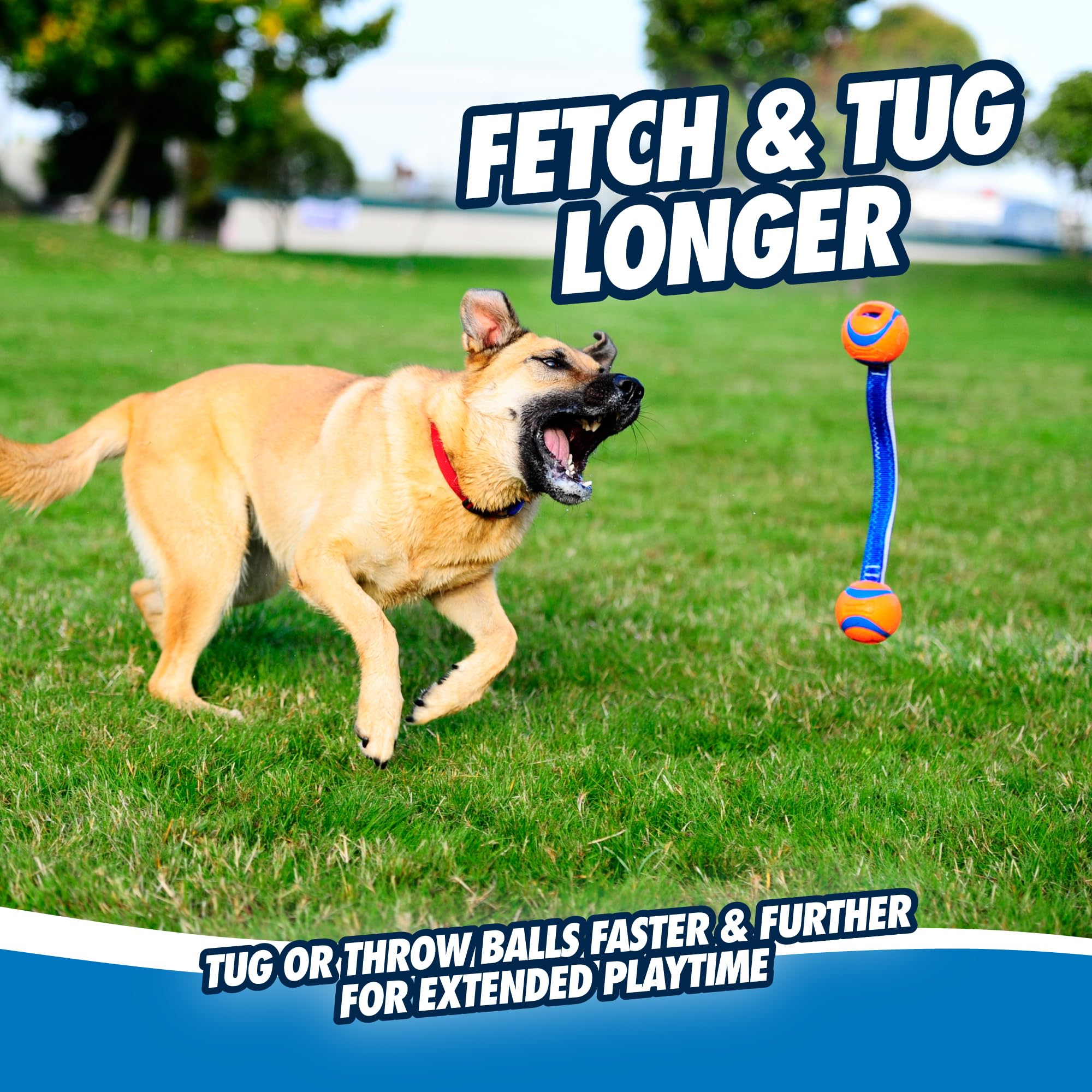 Regalo perfecto para amantes de mascotas que disfrutan de juegos al aire libre