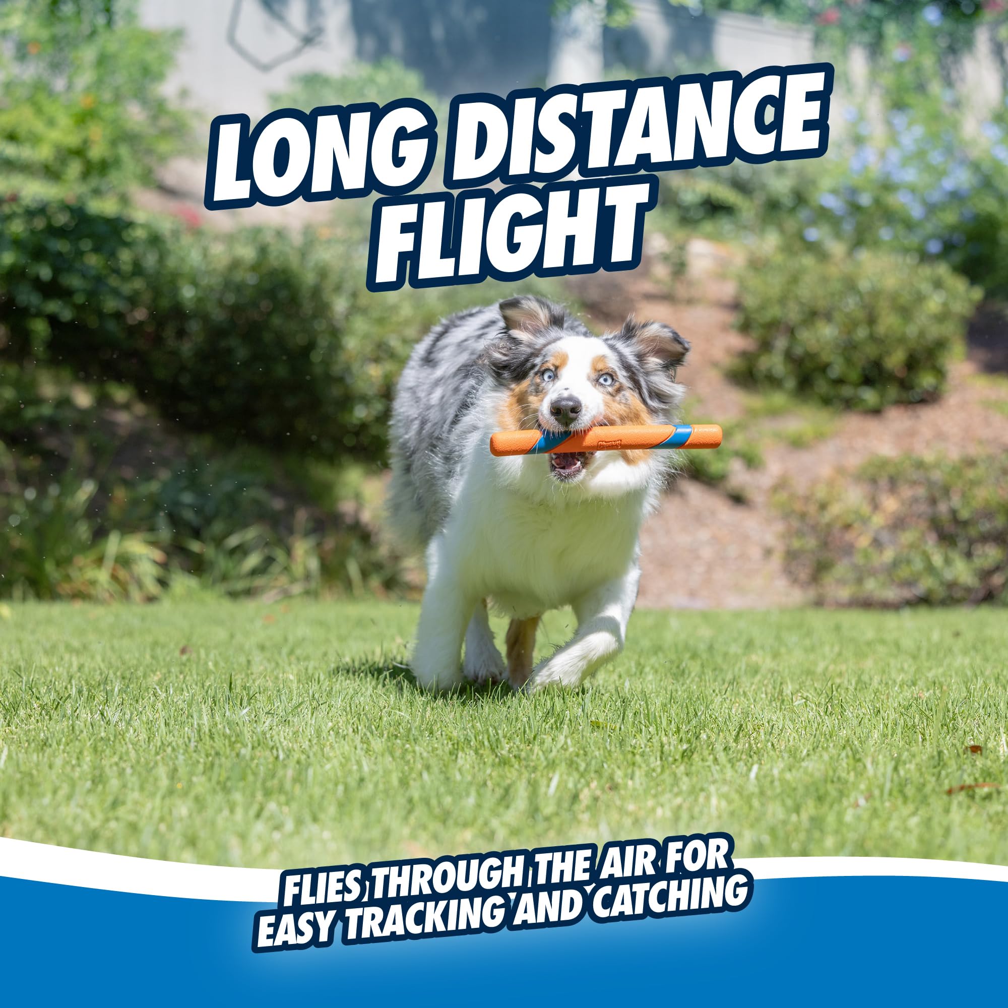 Chuckit Ultra Fetch Stick ideal para sesiones supervisadas, no apto para masticación agresiva