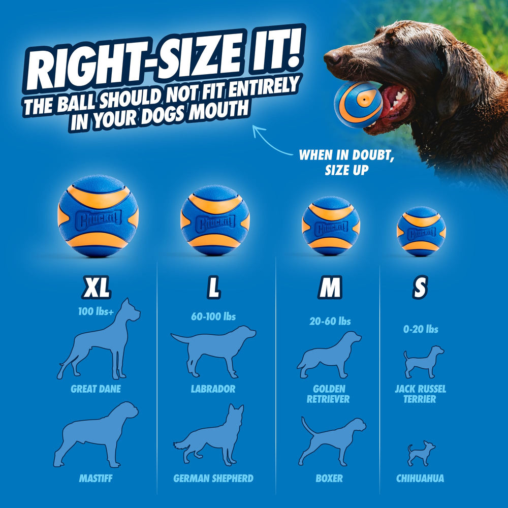 Pelota de diámetro 2,5 pulgadas de Chuckit Ultra Squeaker para perros medianos.