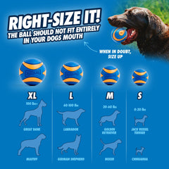 Pelota de diámetro 2,5 pulgadas de Chuckit Ultra Squeaker para perros medianos.