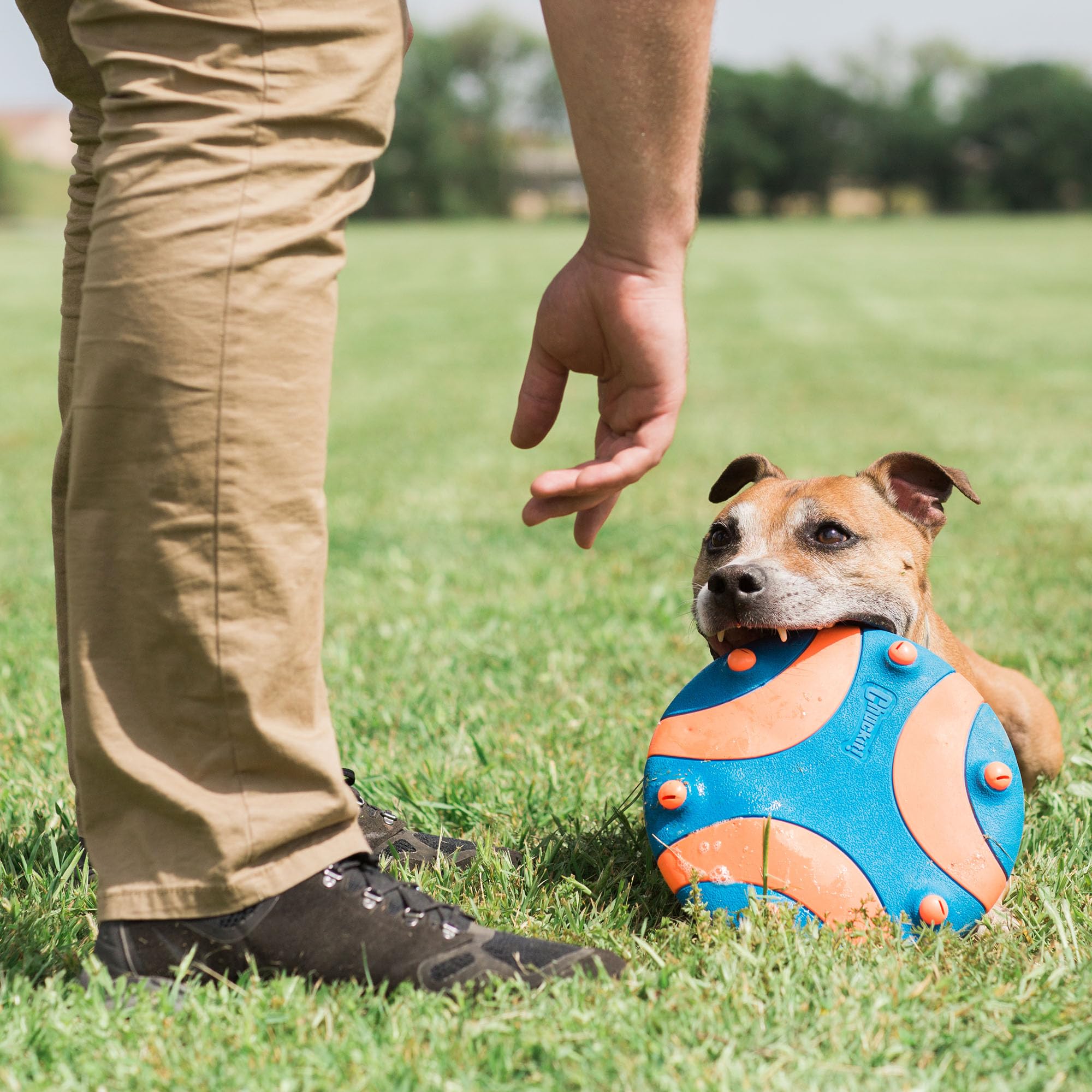 Chuckit Whistle Flight seguro para perros, diseño que mantiene los silbidos dentro del disco.
