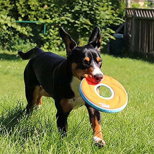 Chuckit Zipflight: anillo volador para perros, juego activo seguro y duradero.