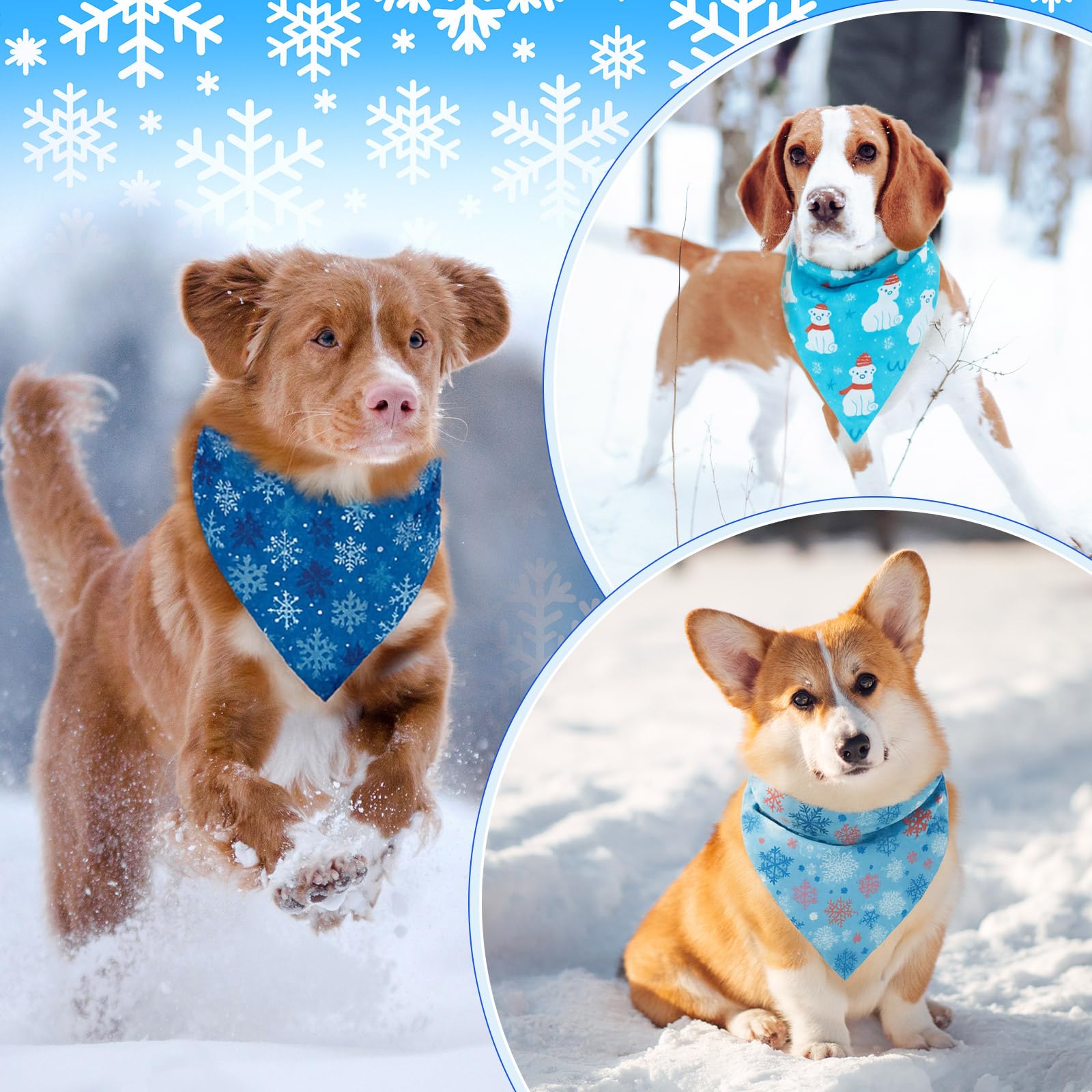 Conjunto de bandanas Chunful para perros y gatos, estética festiva y fácil de combinar