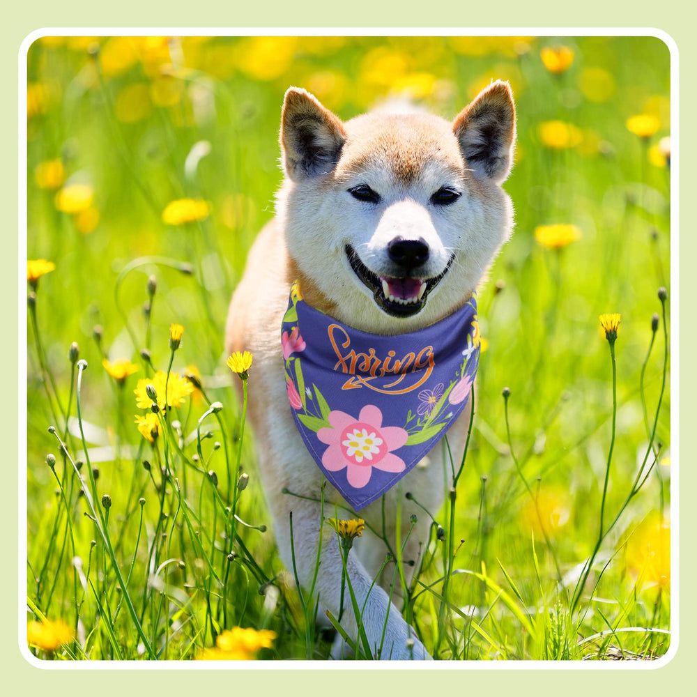 Chunful diseño floral que destaca en cada paseo con mascota