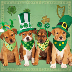 Bandana Chunful con sombrero verde, accesorio festivo para perros