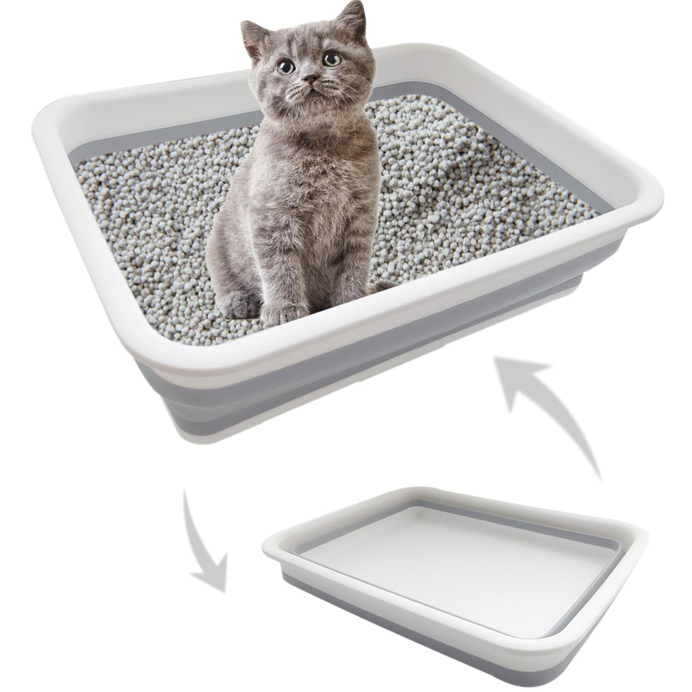 Chuyouan, caja de arena, apertura baja, fácil acceso para gatitos
