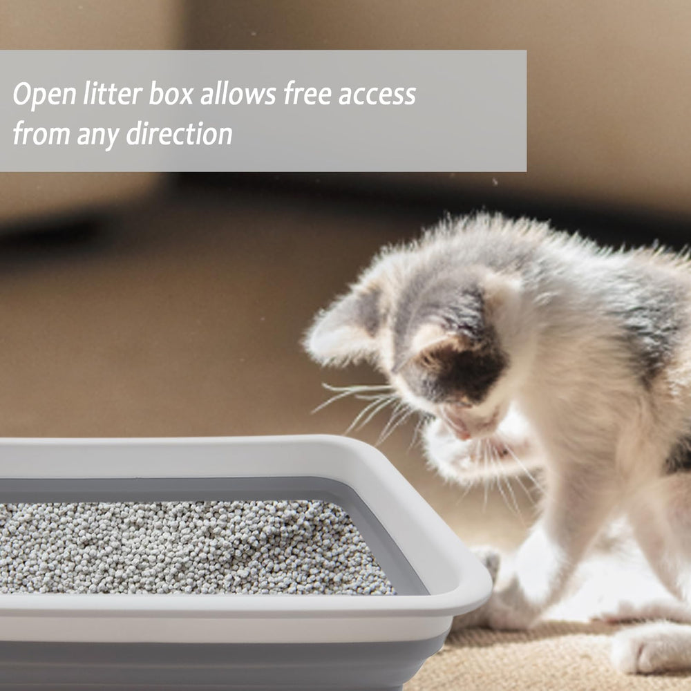 Chuyouan, adecuada para gatos frágiles, entrada baja