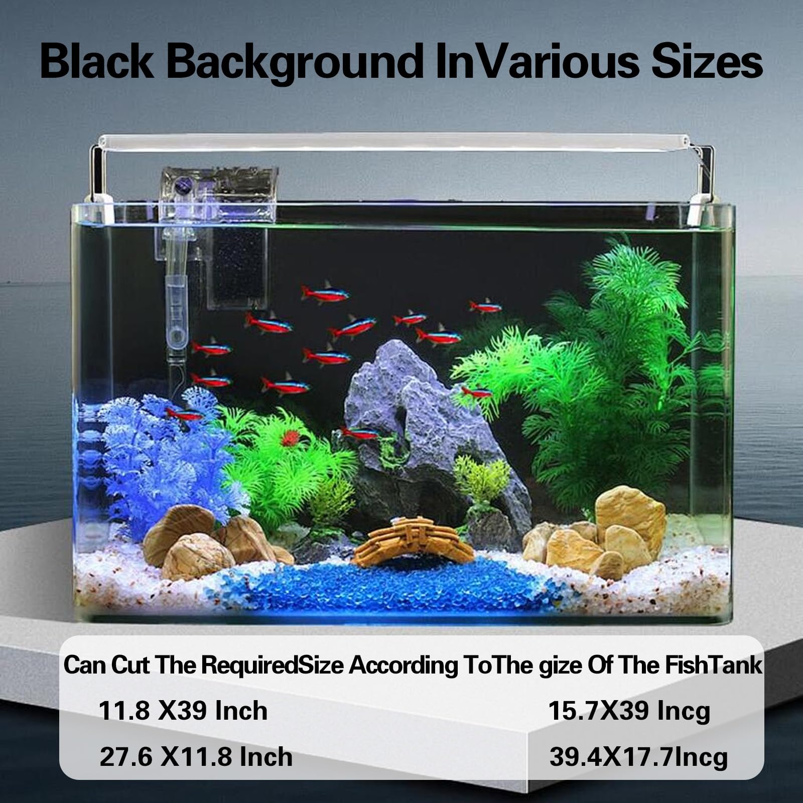 Instalación paso a paso con CICK SEED fondo negro para acuario