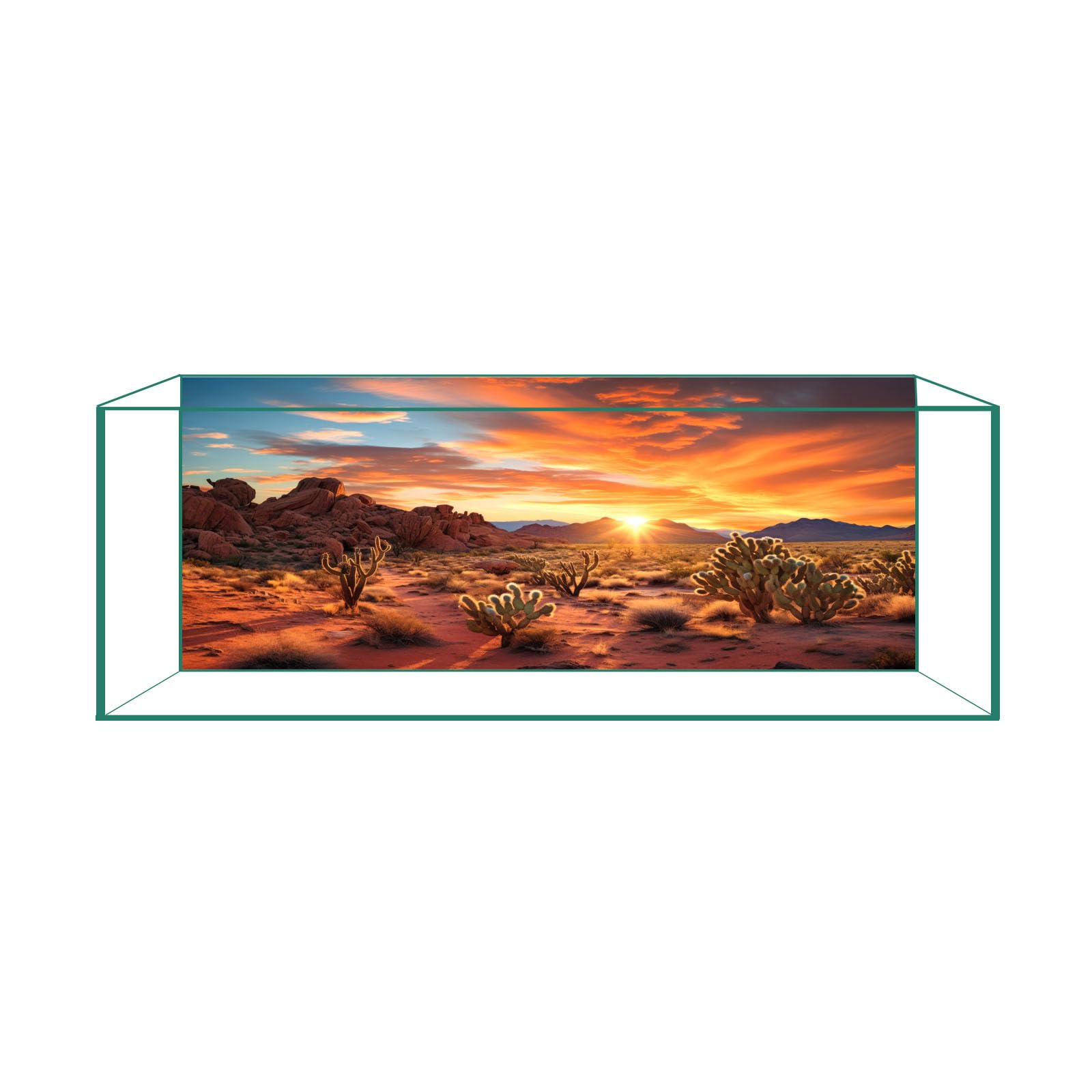 Fondo desértico puesta de sol de CICK SEED para acuarios y terrarios, mejora estética y ambiente natural.