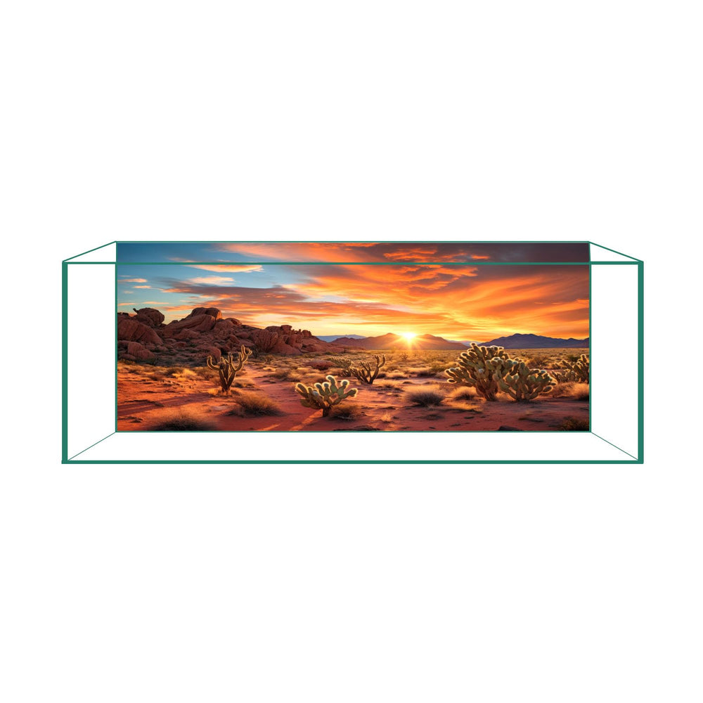 Fondo desértico puesta de sol de CICK SEED para acuarios y terrarios, mejora estética y ambiente natural.