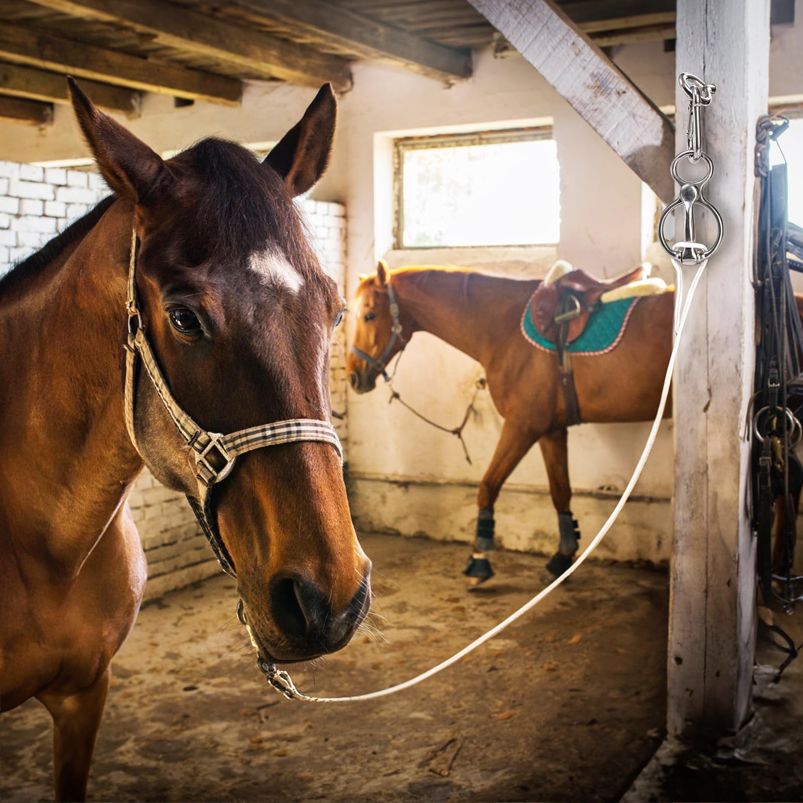 Cididu: juego de 3 packs, herramientas para entrenamiento de caballos.