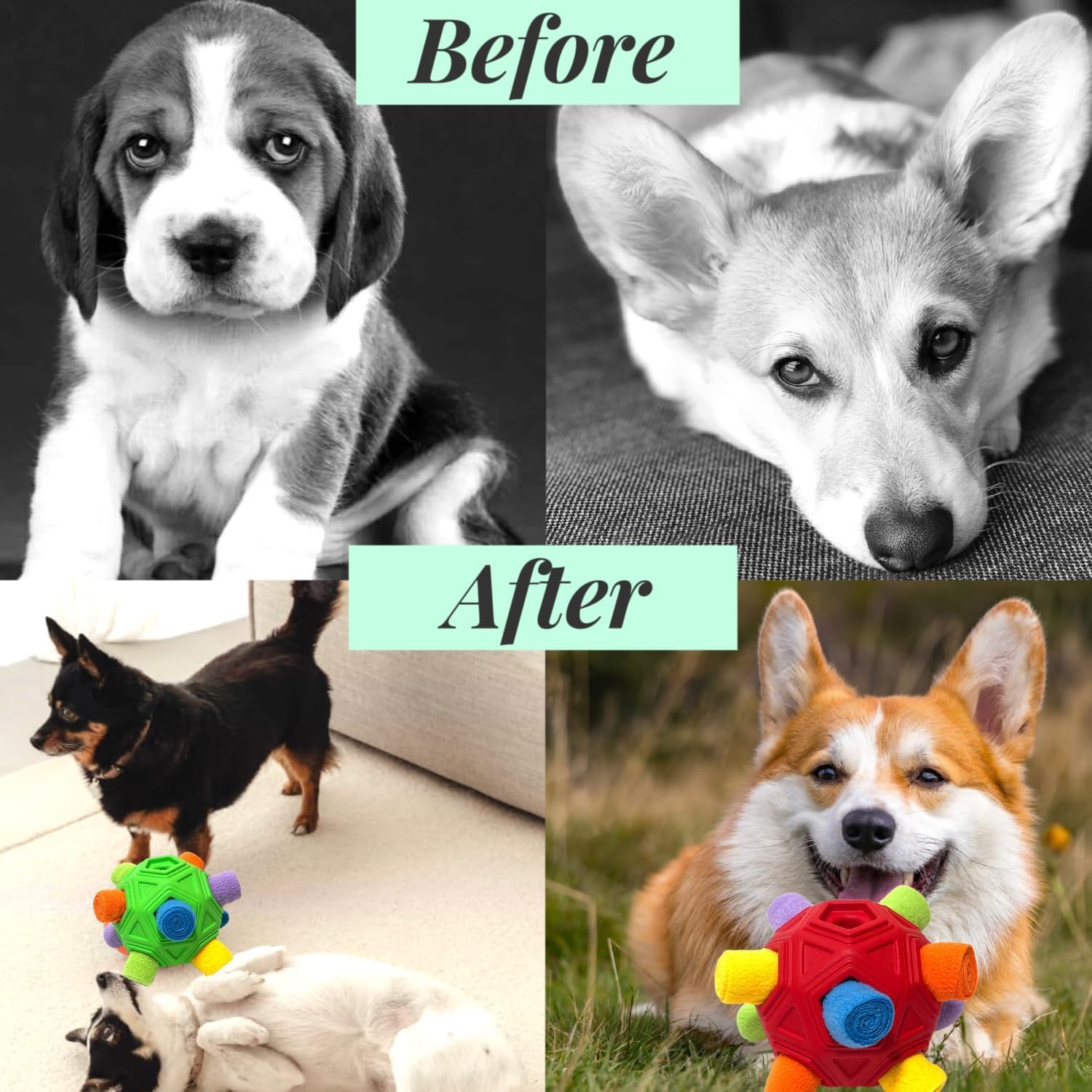Juego de forrajeo CIIVURR para perros que estimula resolución de problemas.