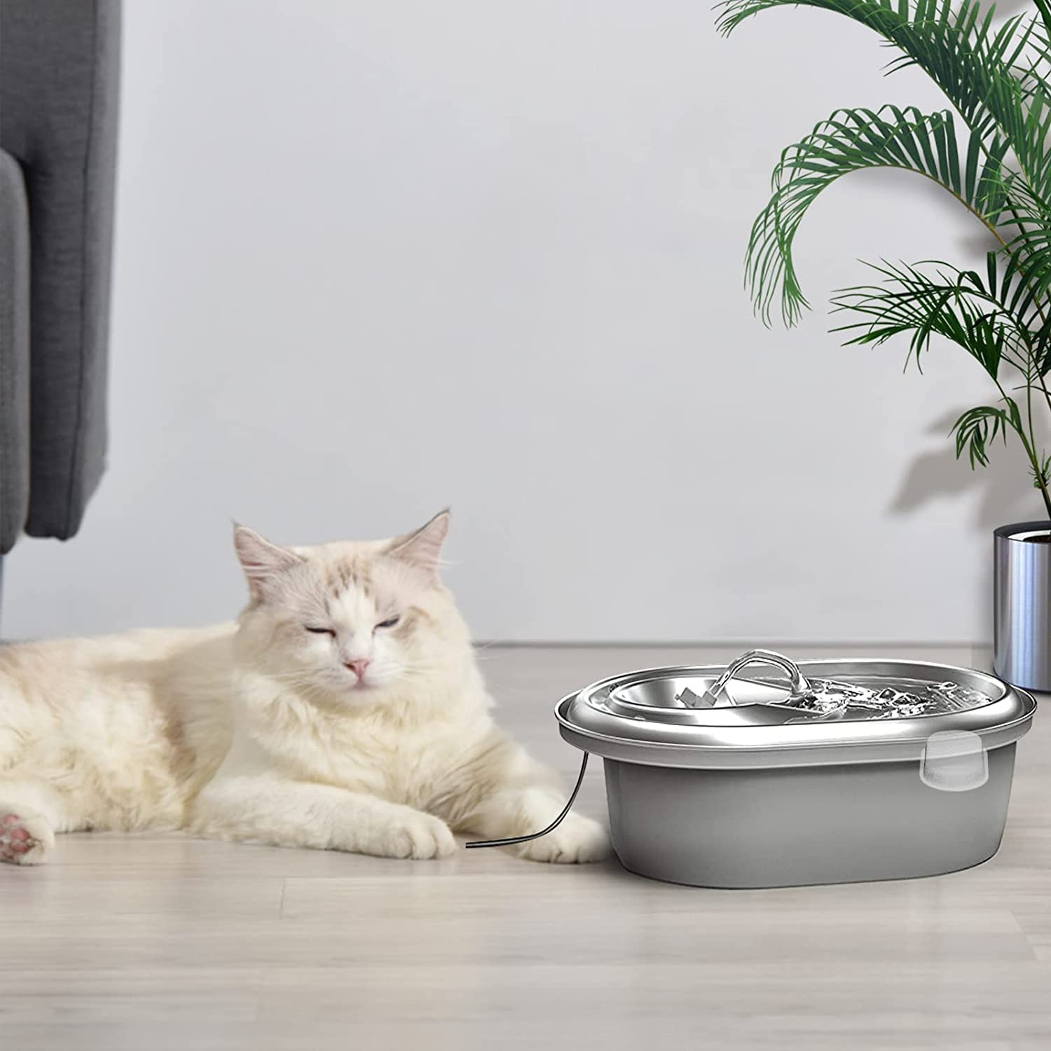 Cirfifth agua sabrosa para gatos mejora la experiencia diaria al beber.