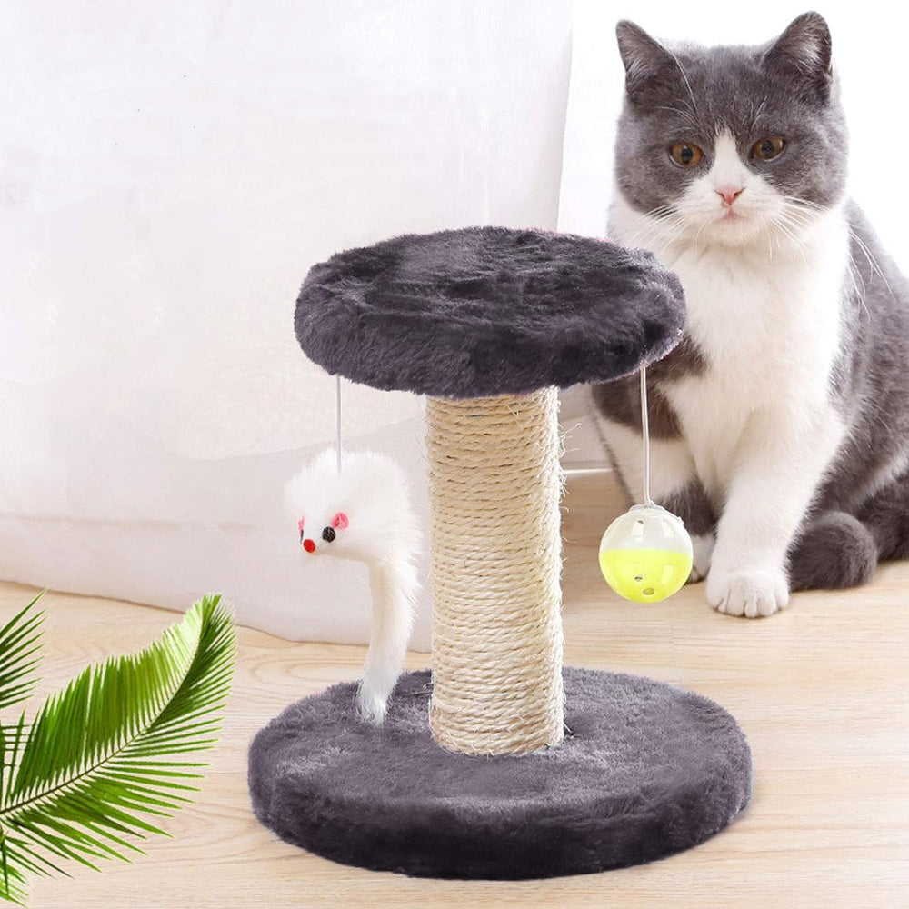 Cisila accesorios de juego y rascado para gatos.
