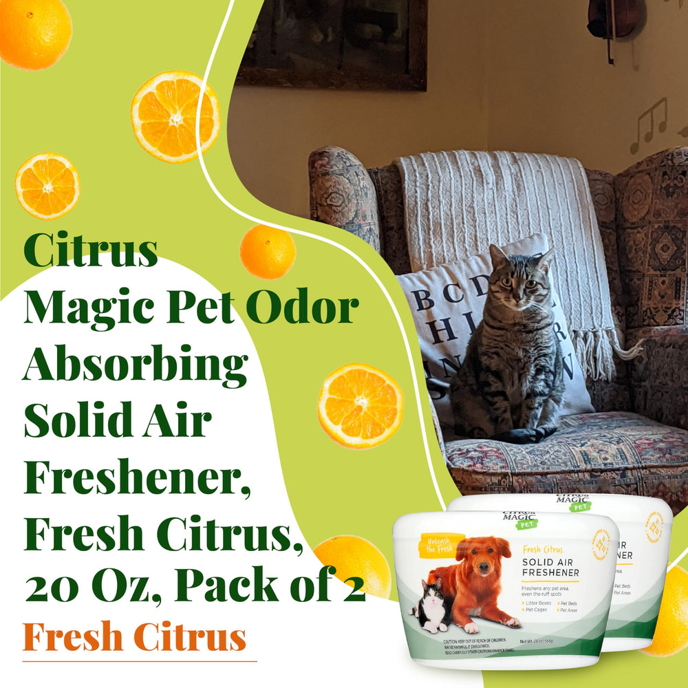 Citrus Magic Pet Solid Air Freshener colocado en caja de arena, neutraliza olores.