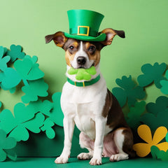 Juguete para perro Civaner verde con diseño de trébol festivo y uso lúdico