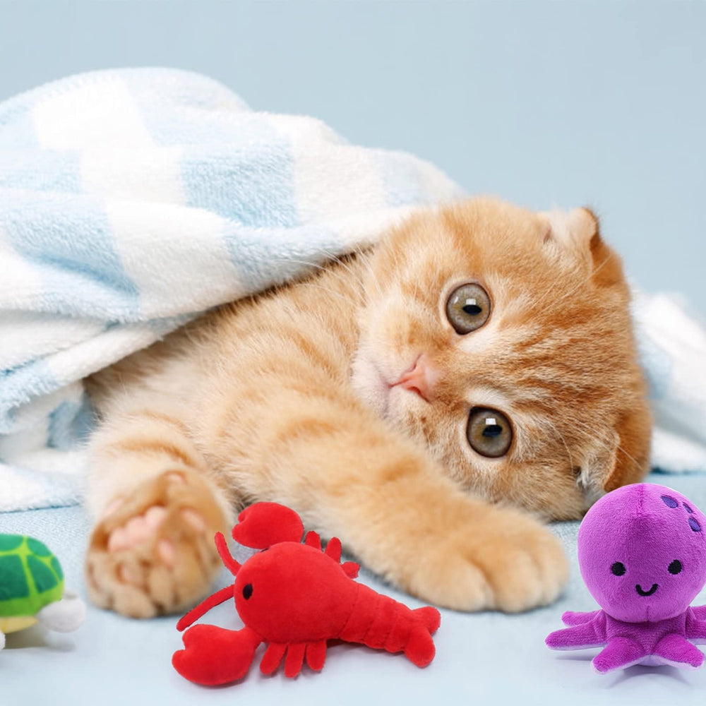 CiyvoLyeen Caballito de mar: juguete catnip para emoción suave y juego.