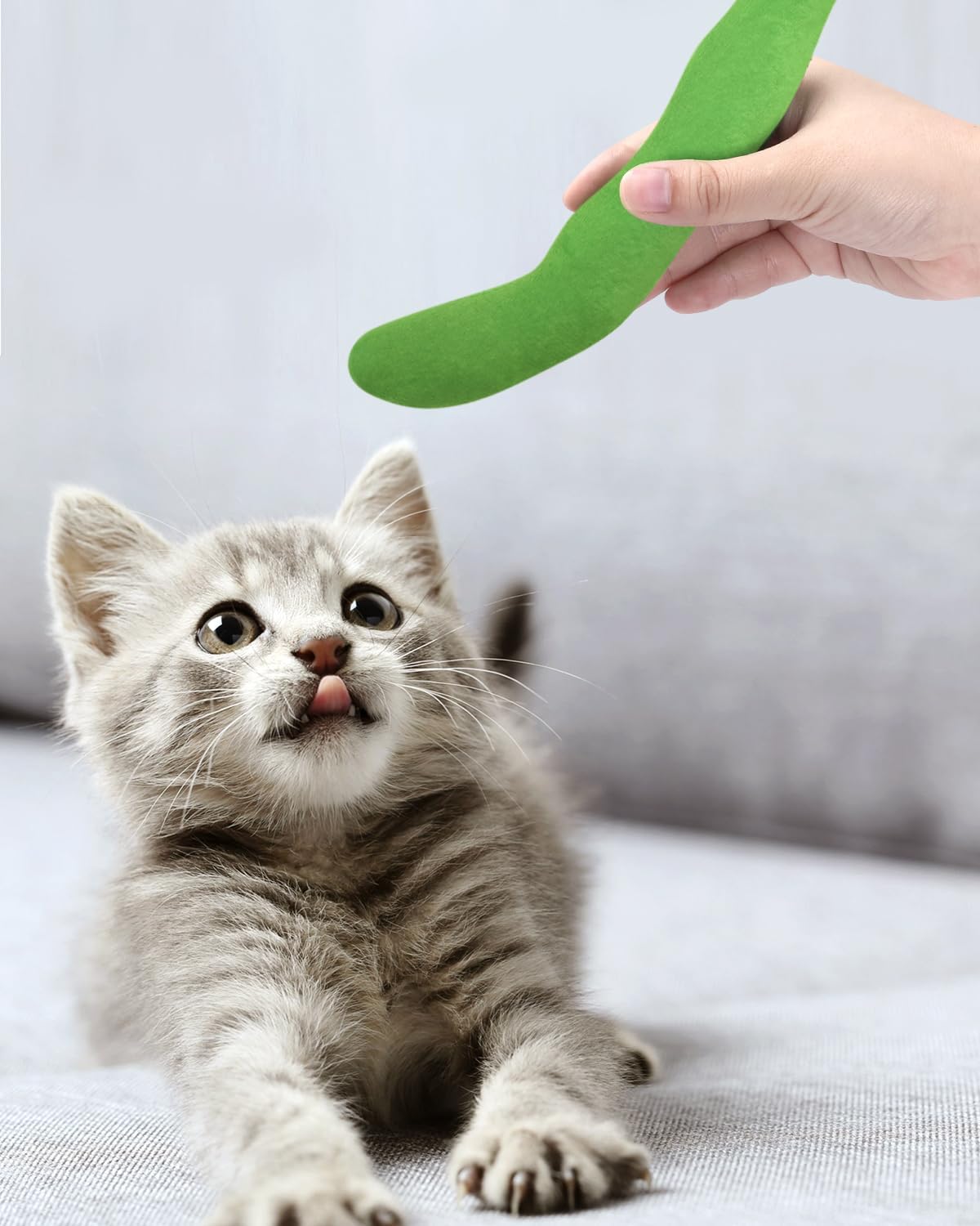 Juguete interactivo de gato CiyvoLyeen, frijol verde, sesiones largas.