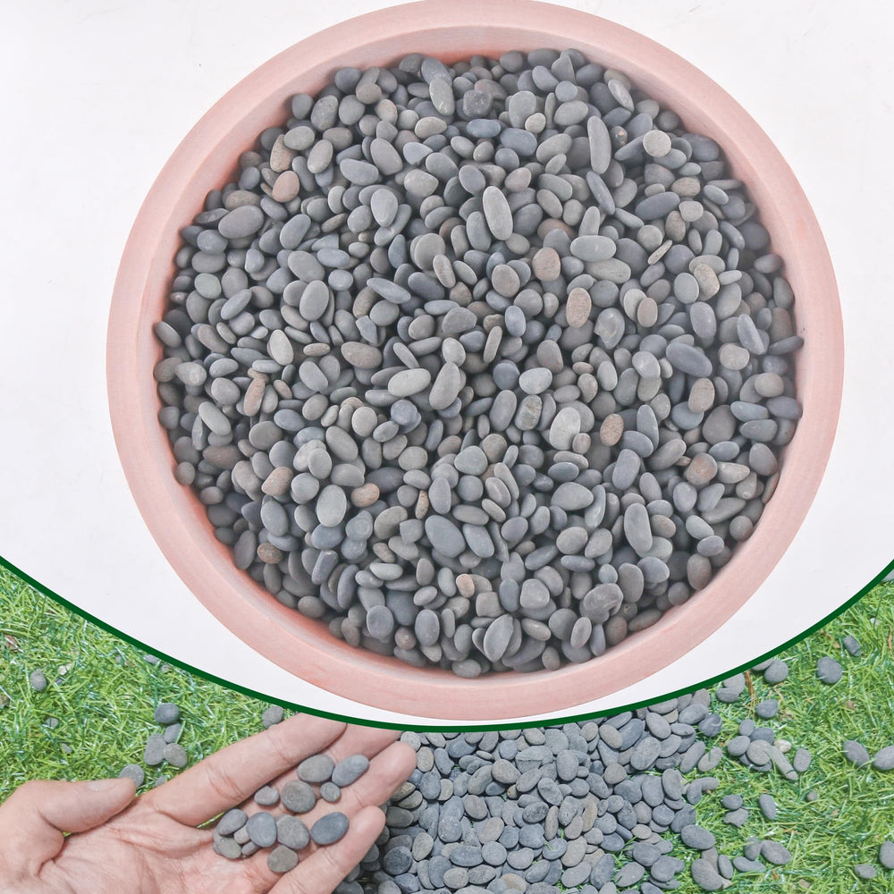 CJGQ piedras de río para plantas, aspecto natural y drenaje mejorado.