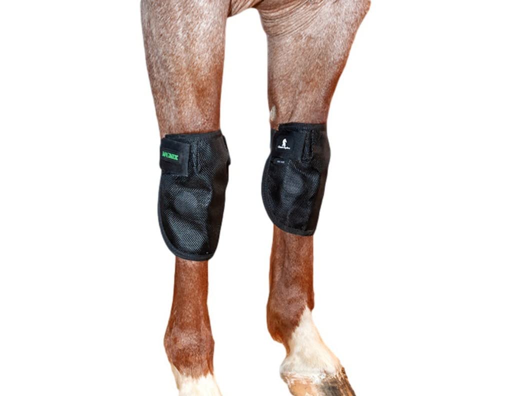 MagNTX Cinta para la rodilla de Classic Equine, soporte y movilidad para la articulación.