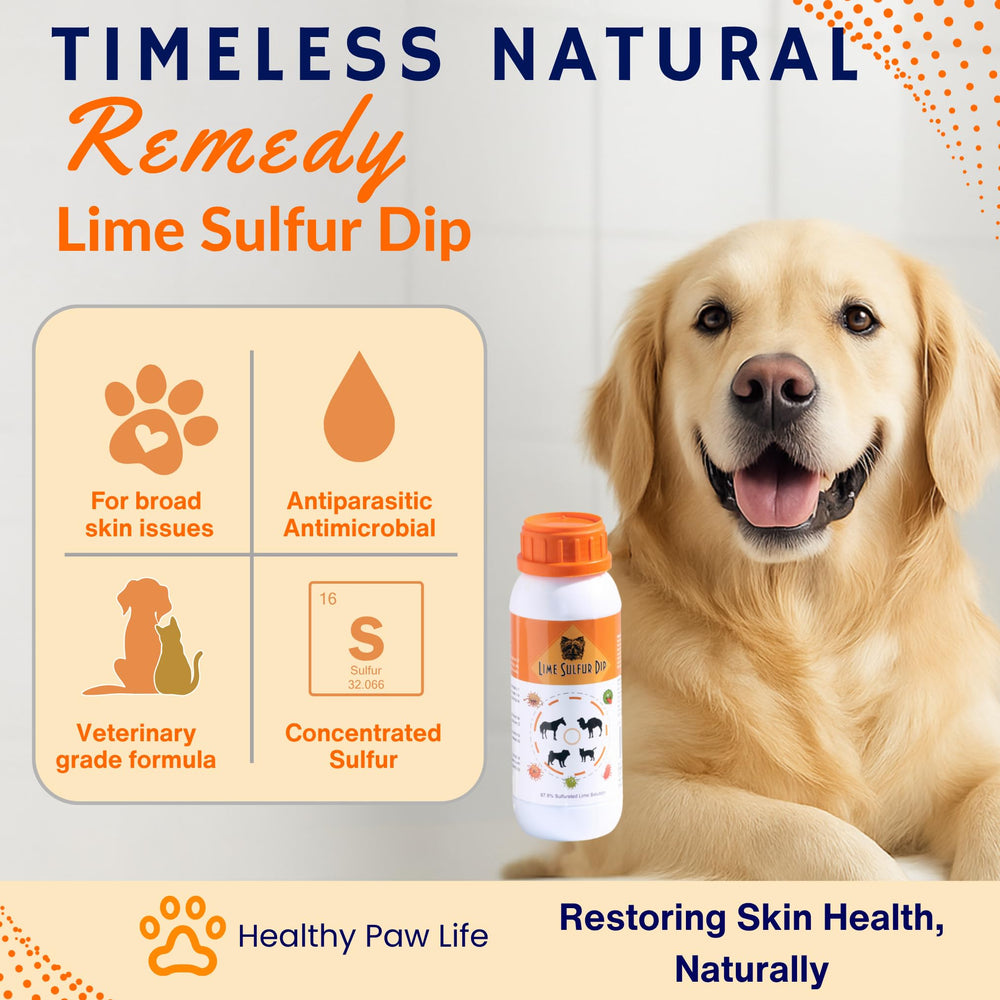 Aplicación con esponja de Classic's Lime Sulfur Dip para tratamiento localizado.