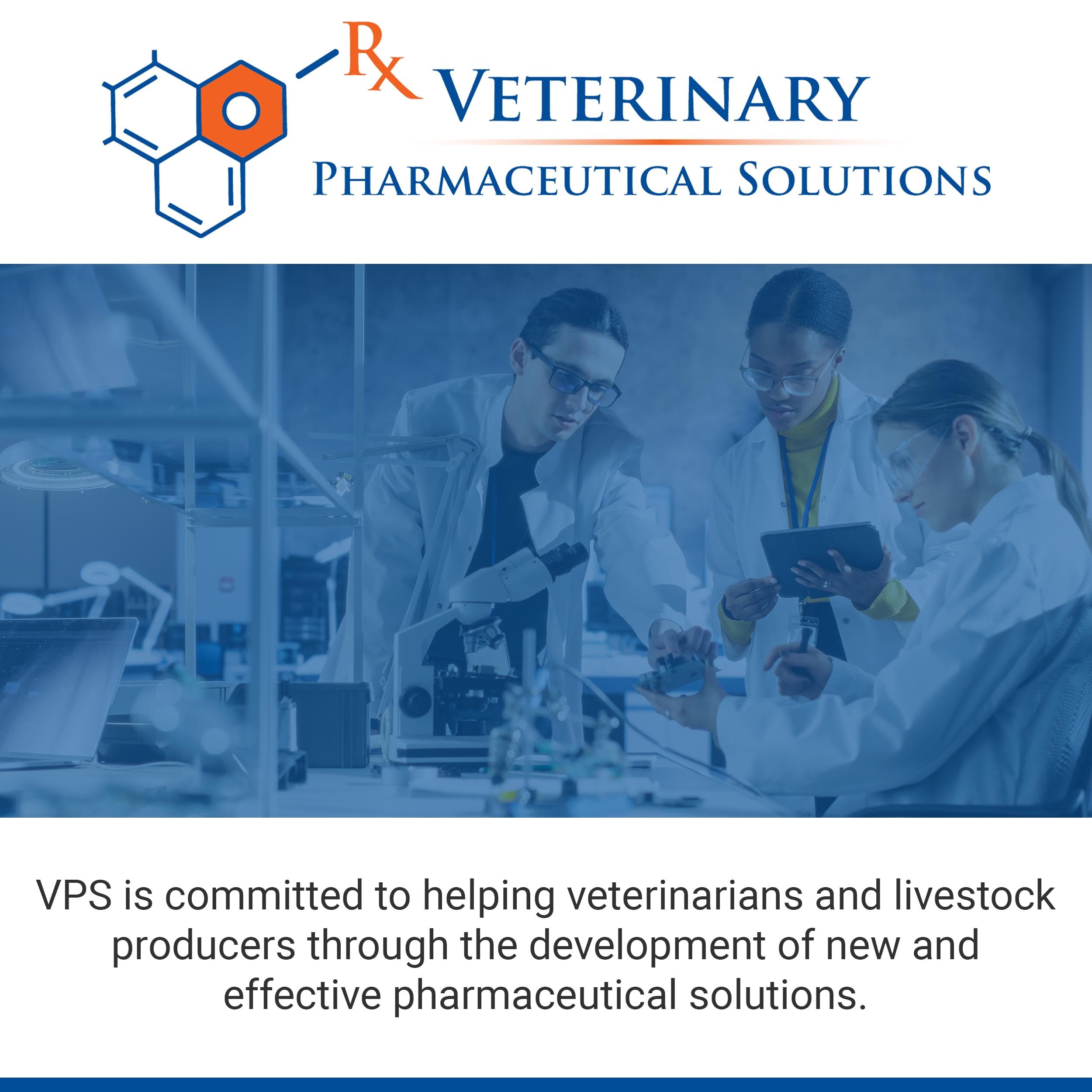 classic vps synovialmax masticables suaves para entrenamiento diario de perros