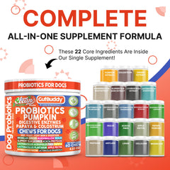 Clean Nutraceuticals probióticos para perros, lactobacillus acidophilus, mejora la flora intestinal