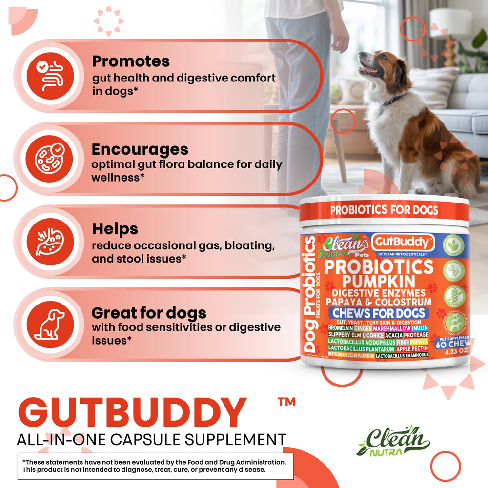 Clean Nutraceuticals probióticos para perros, lactobacillus rhamnosus mantiene equilibrio intestinal