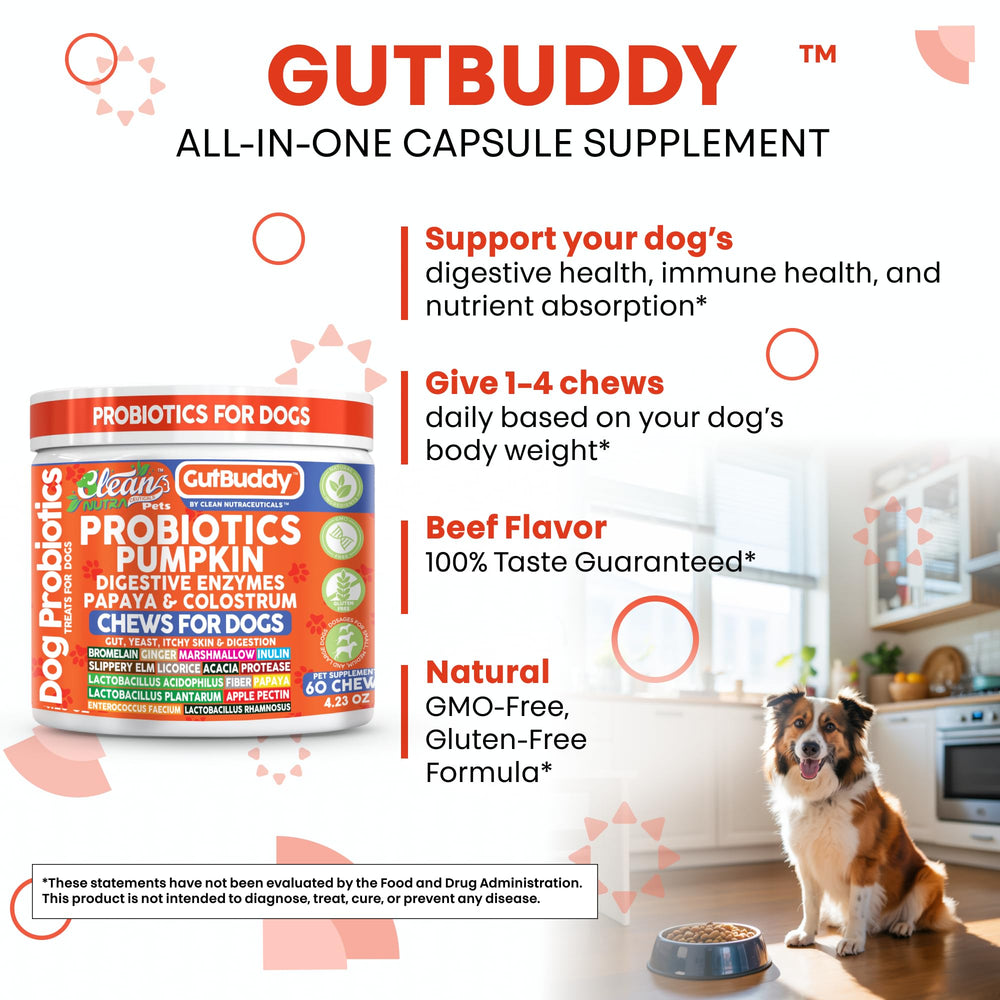 Clean Nutraceuticals probióticos para perros, regaliz calma molestias digestivas