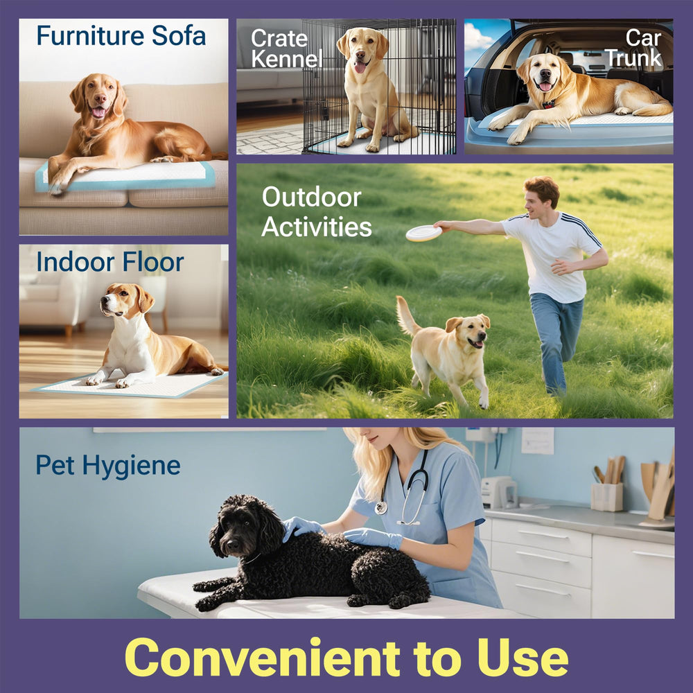 Protección confiable CLEAN SPACES para cachorros y mascotas adultas.