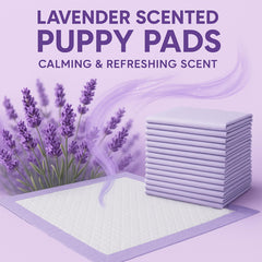 Pañitos CLEAN SPACES de seis capas para mayor protección.