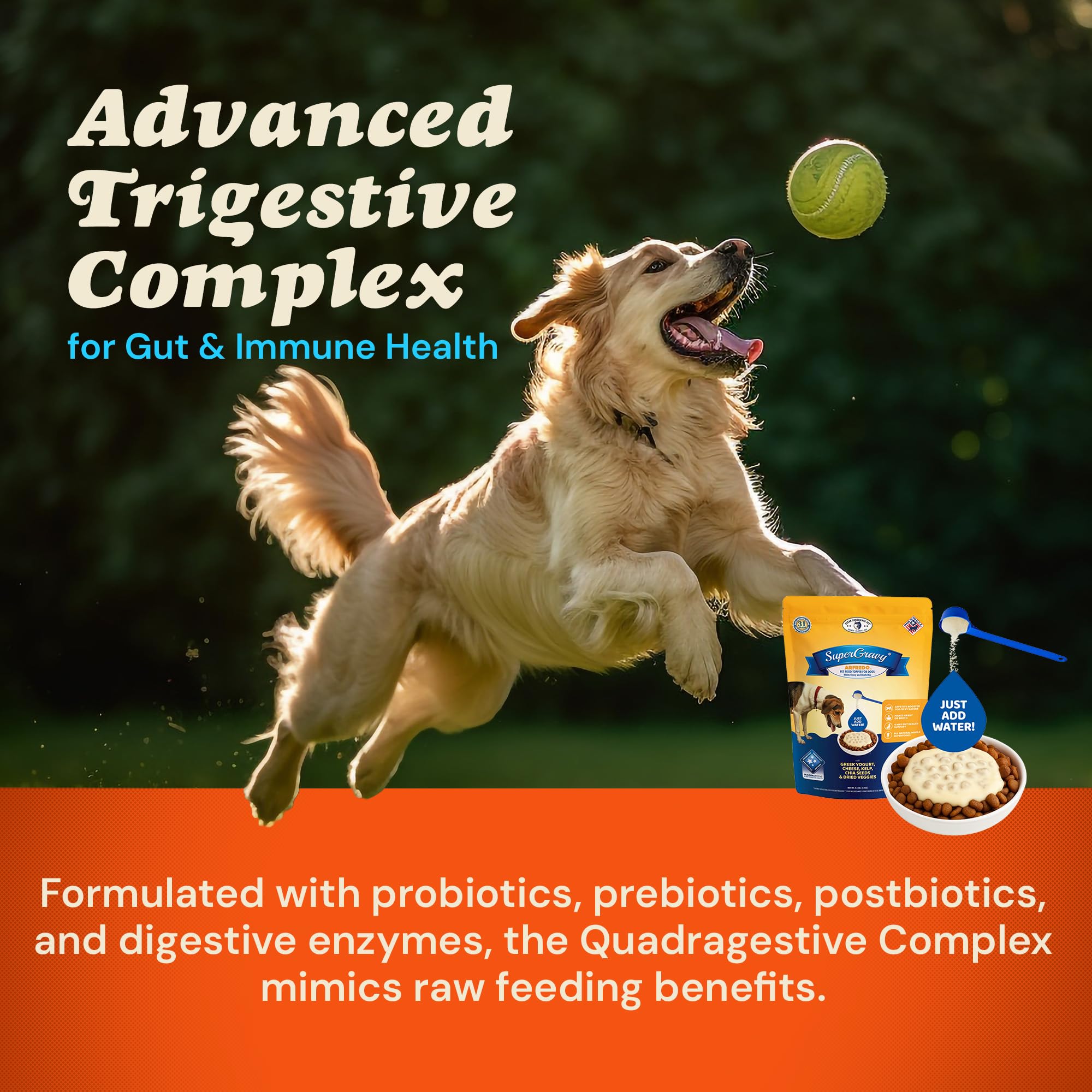 Arffredo: ingredientes naturales de primera para perros
